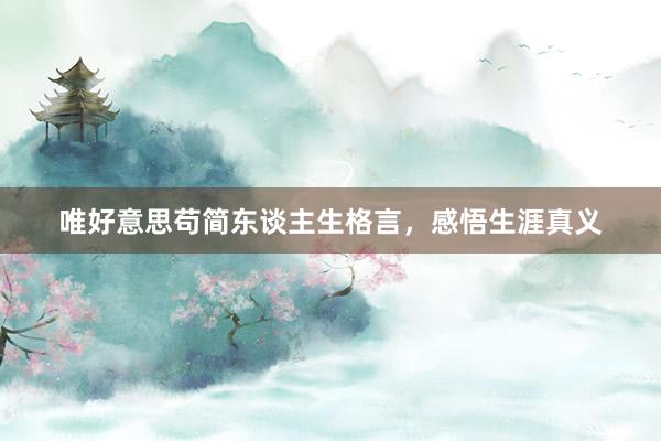 唯好意思苟简东谈主生格言，感悟生涯真义